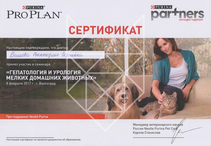 Документ или сертификат