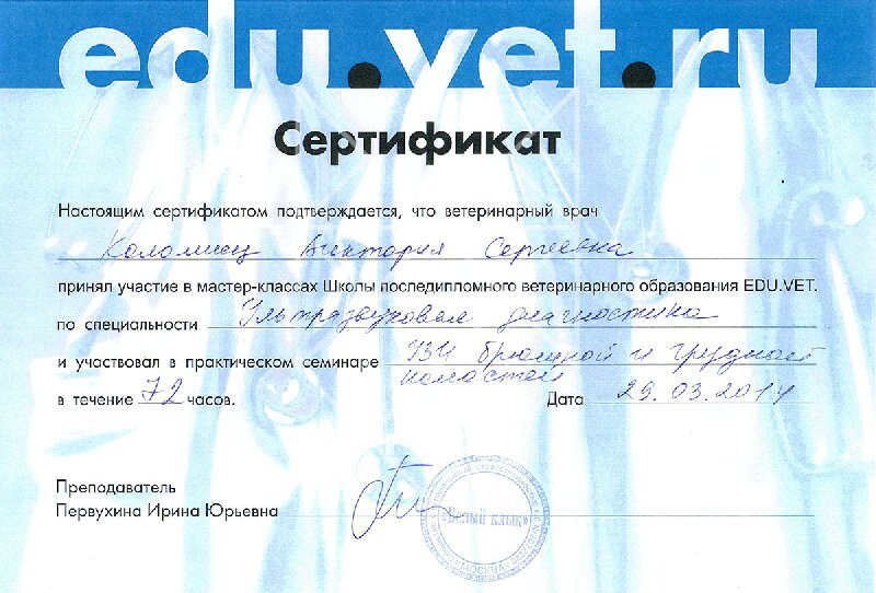 Документ или сертификат
