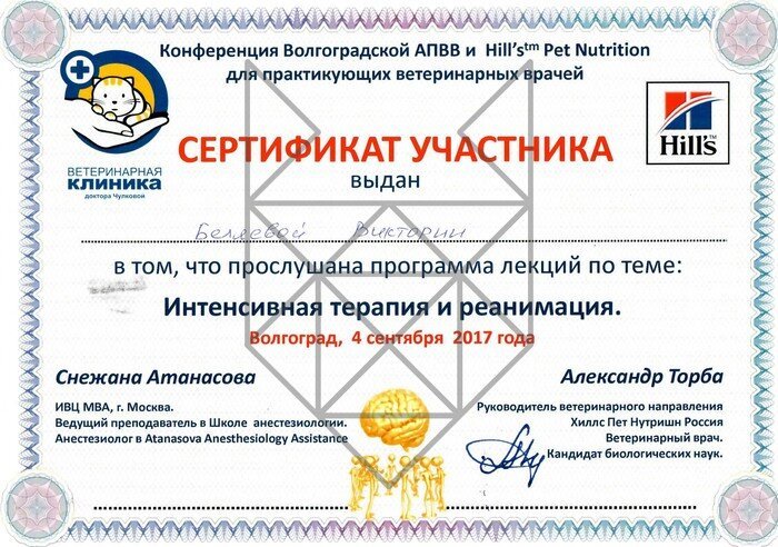Документ или сертификат