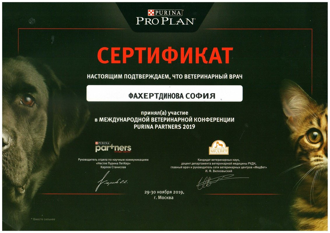 Документ или сертификат