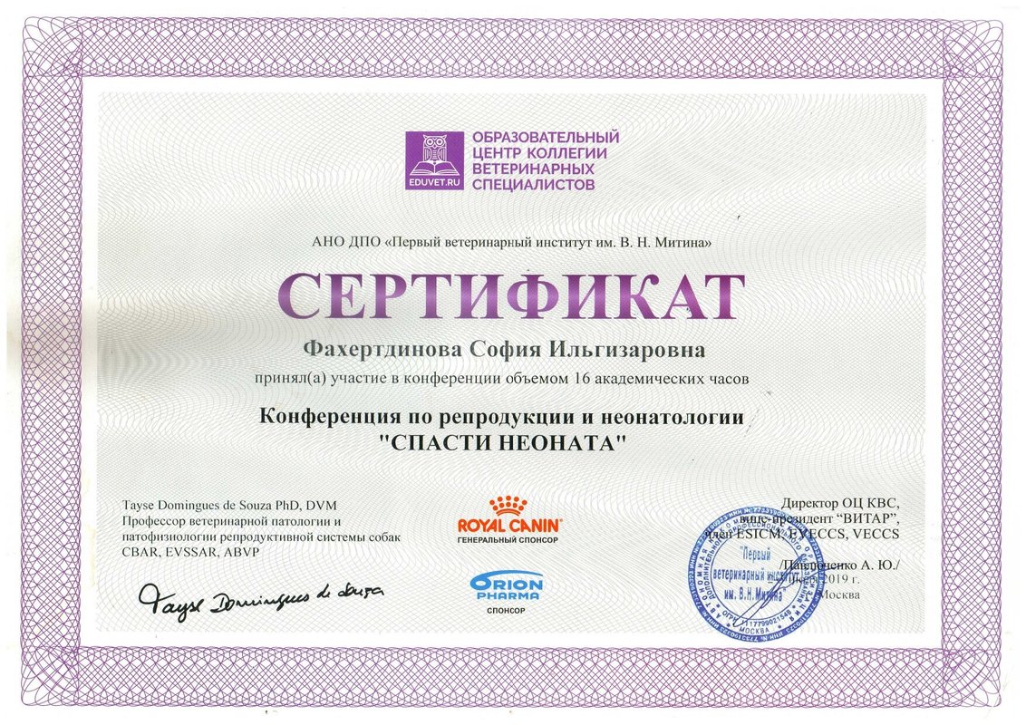 Документ или сертификат