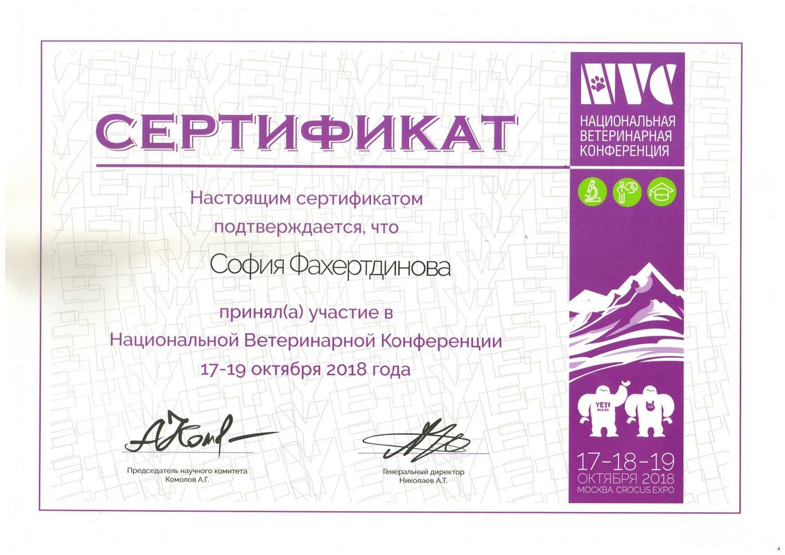 Документ или сертификат