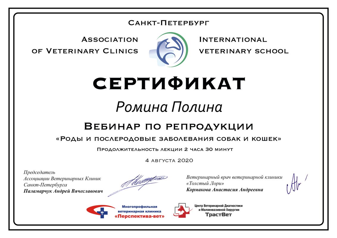Документ или сертификат