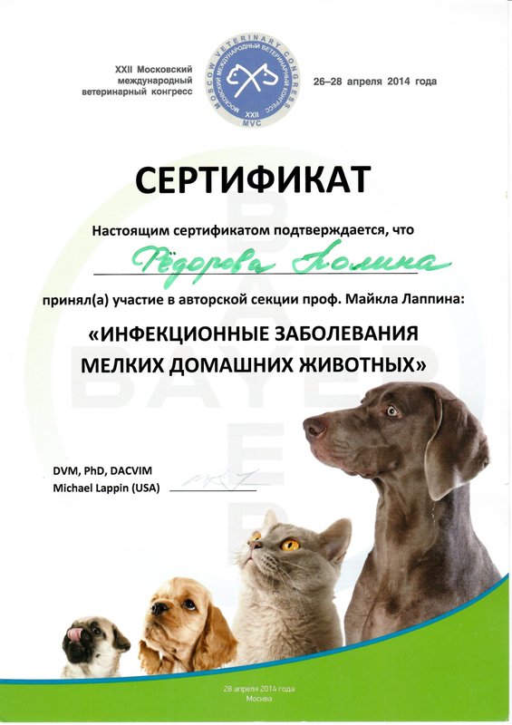 Документ или сертификат