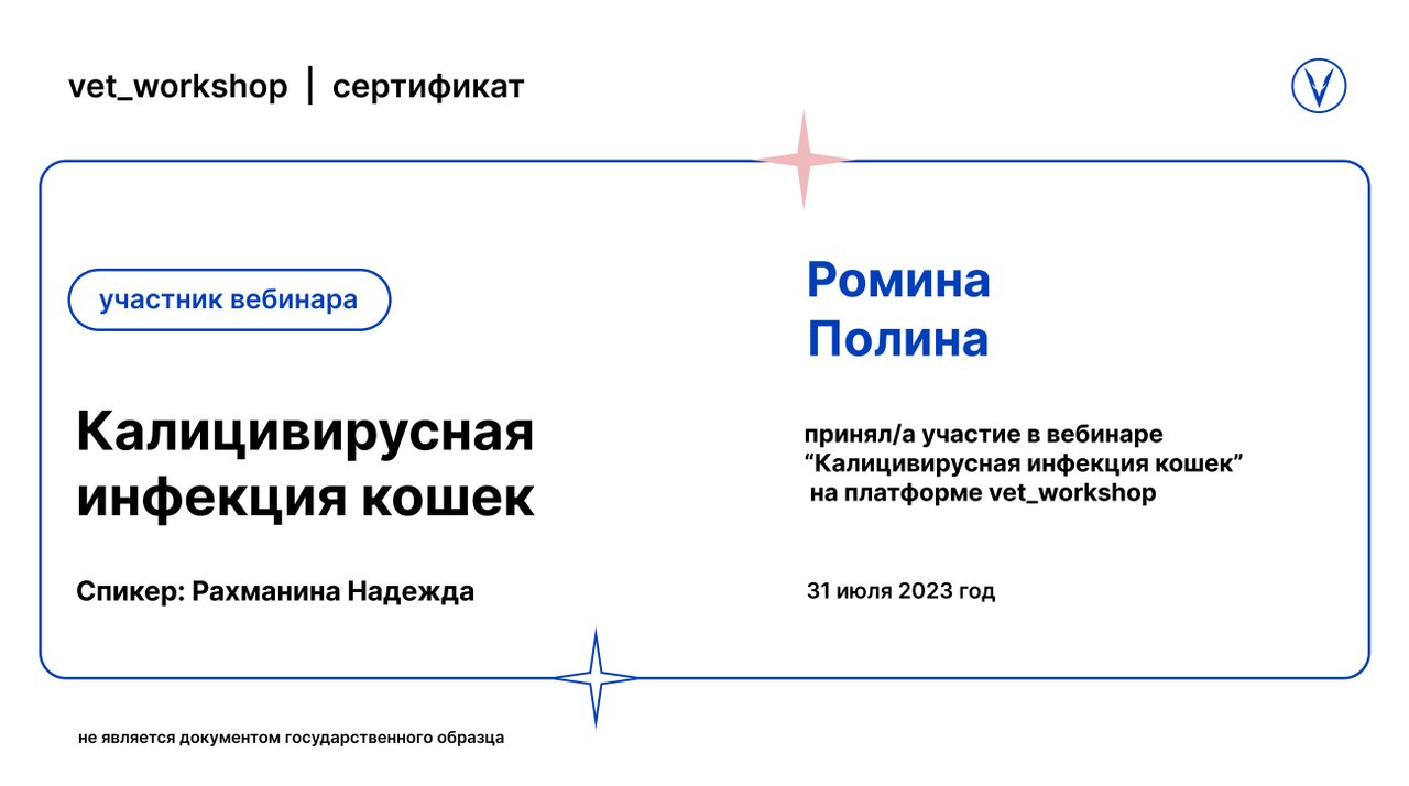 Документ или сертификат