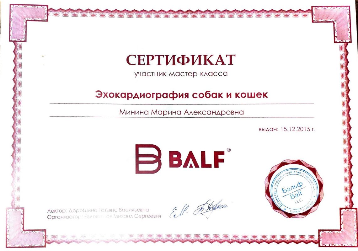 Документ или сертификат