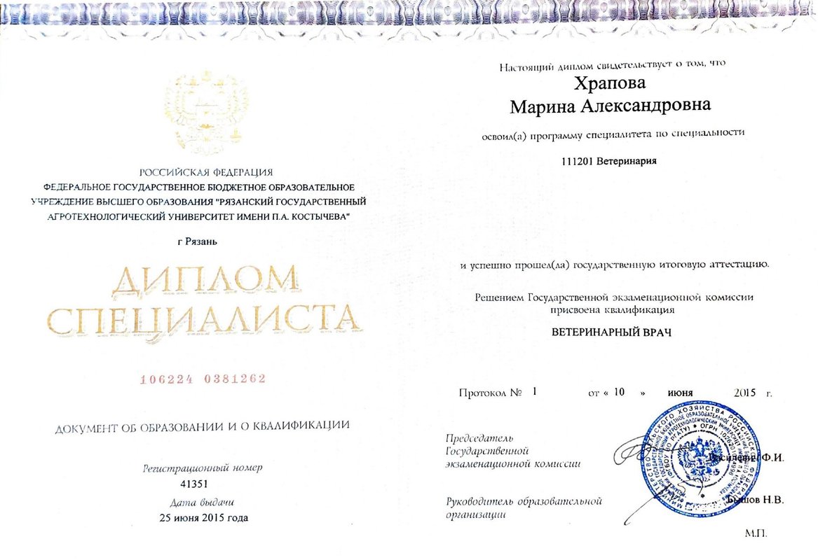 Документ или сертификат