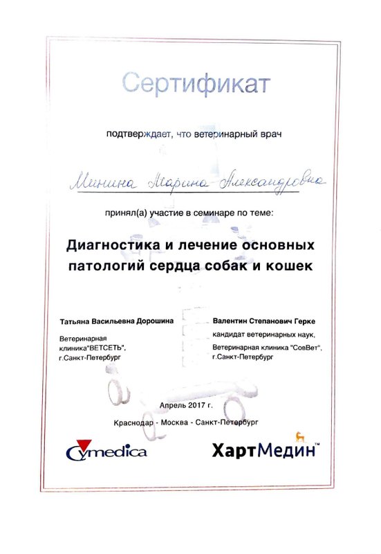 Документ или сертификат
