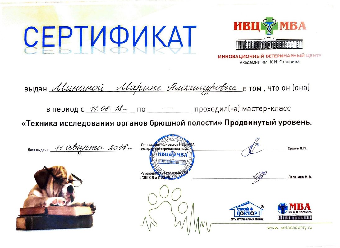 Документ или сертификат