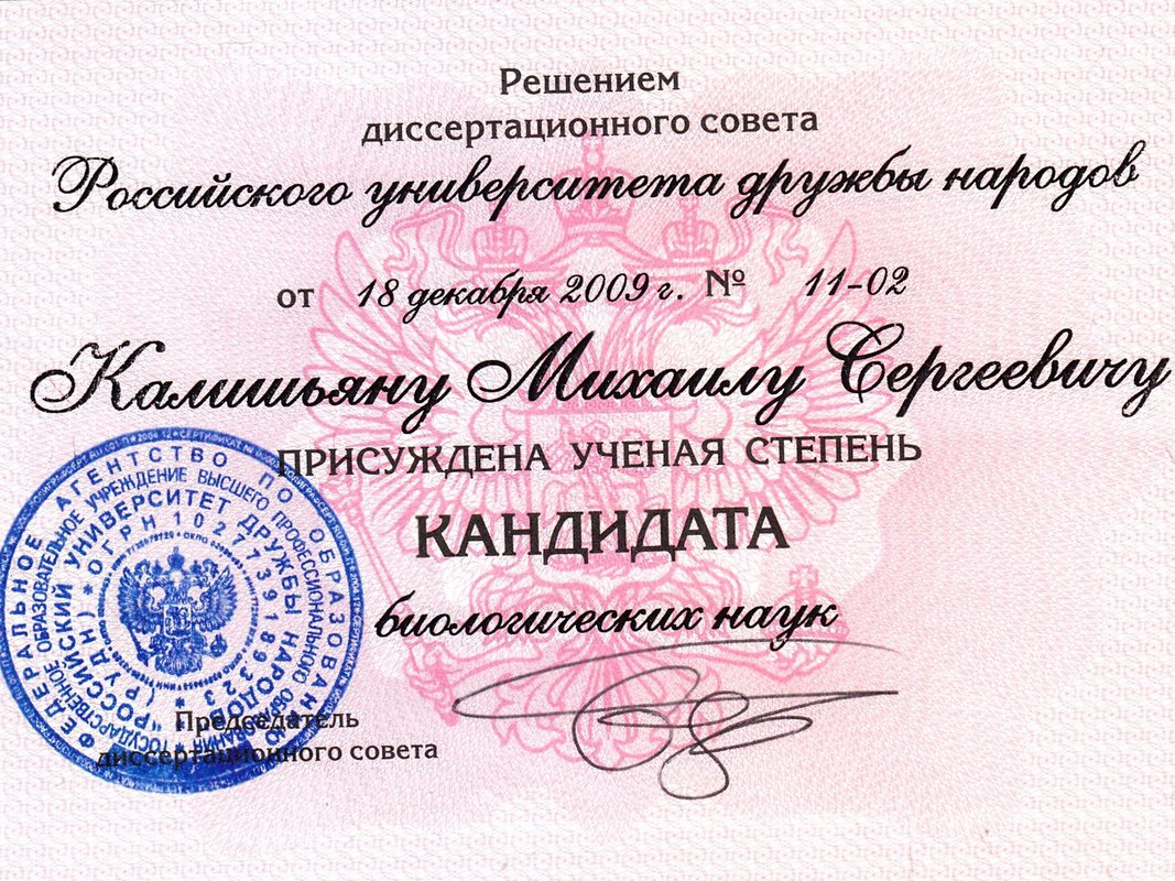 Документ или сертификат