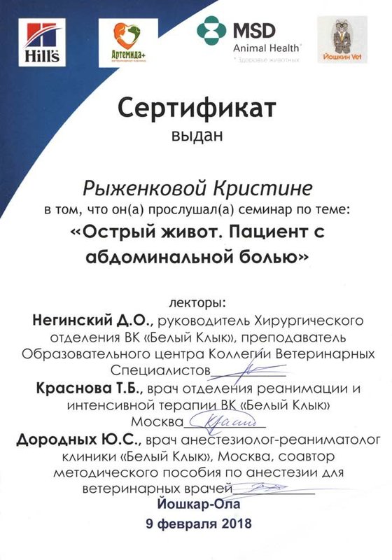 Документ или сертификат