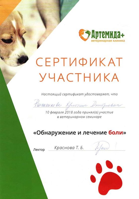 Документ или сертификат