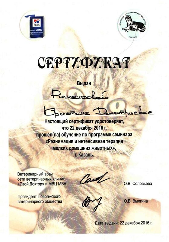 Документ или сертификат
