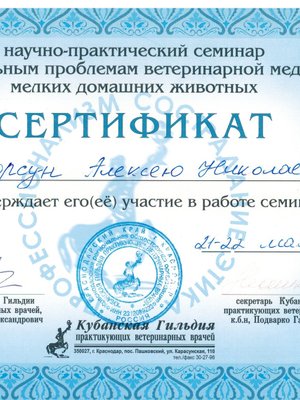 Фото врача Корсун Алексей Николаевич