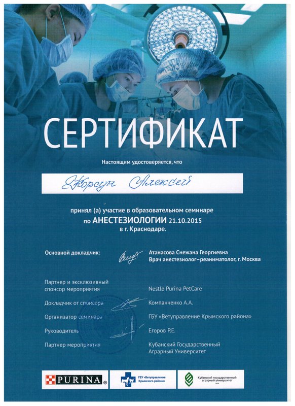 Документ или сертификат