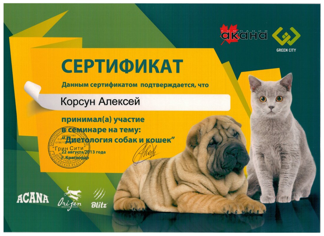 Документ или сертификат
