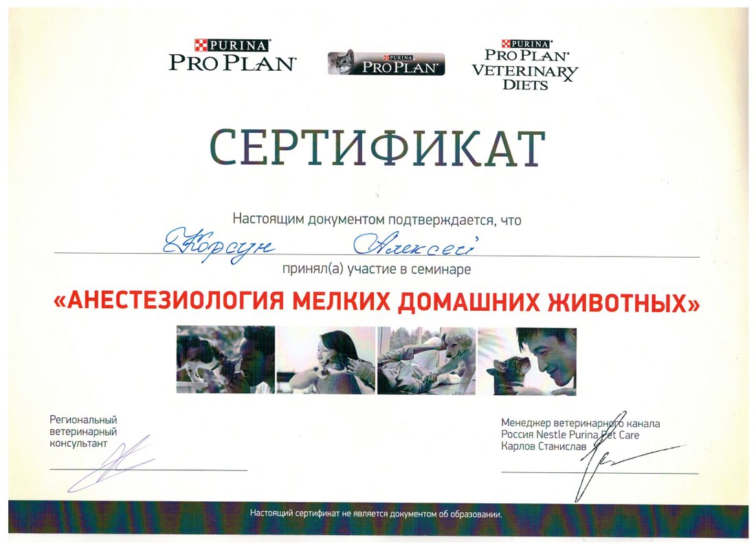 Документ или сертификат