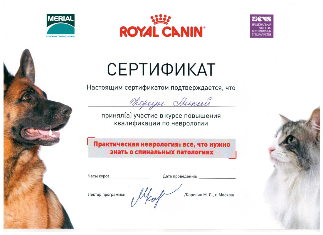 Документ или сертификат