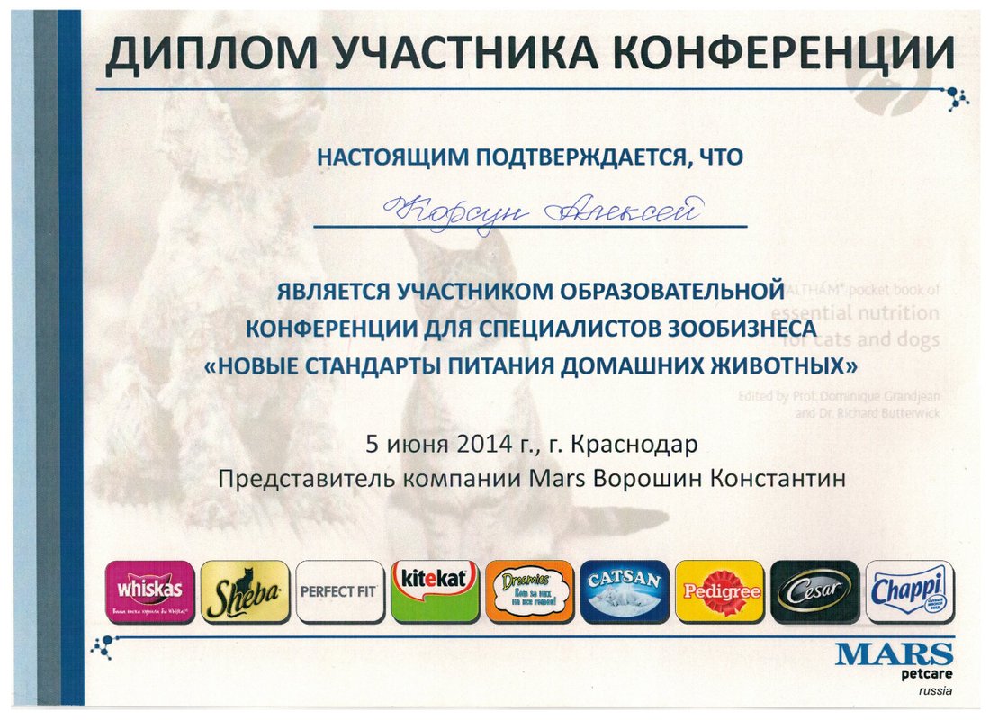 Документ или сертификат