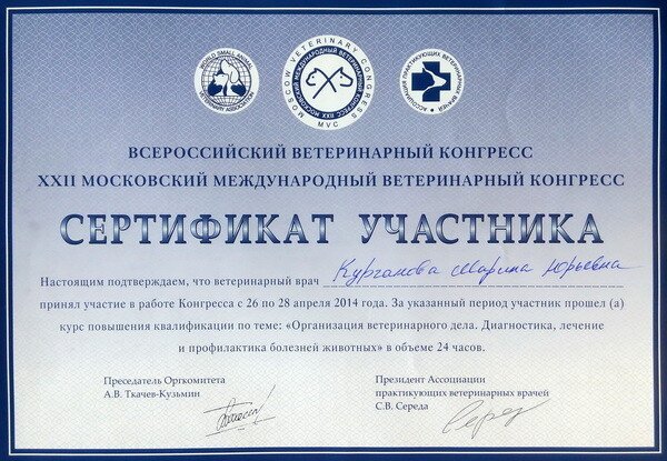 Документ или сертификат