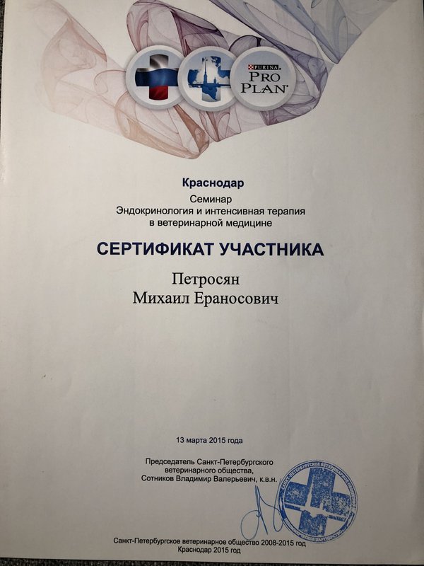 Документ или сертификат