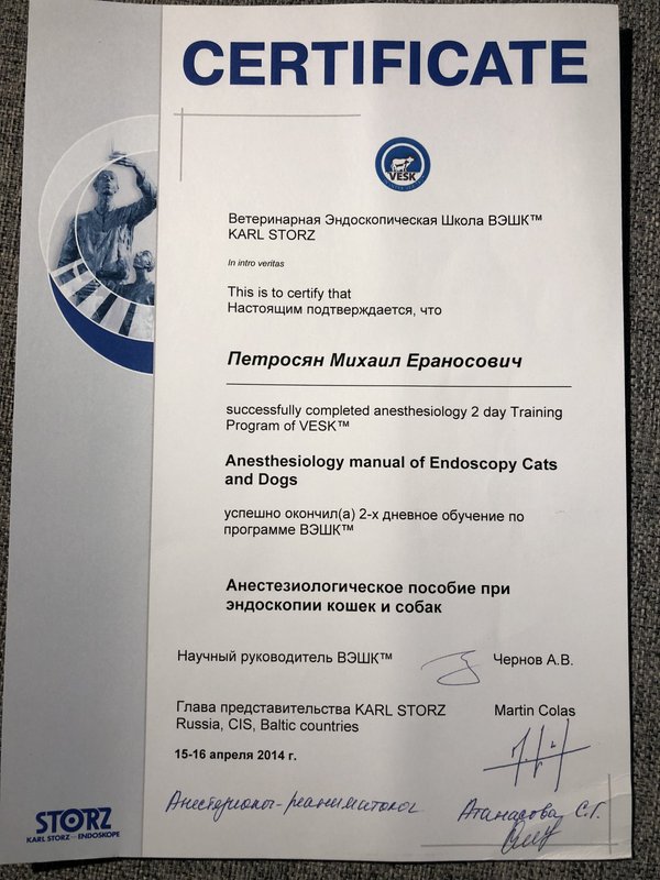 Документ или сертификат