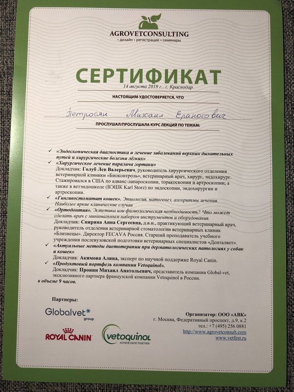 Документ или сертификат