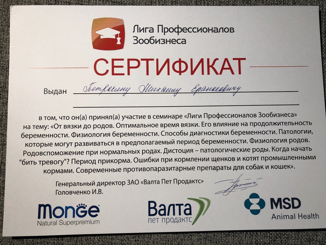 Документ или сертификат