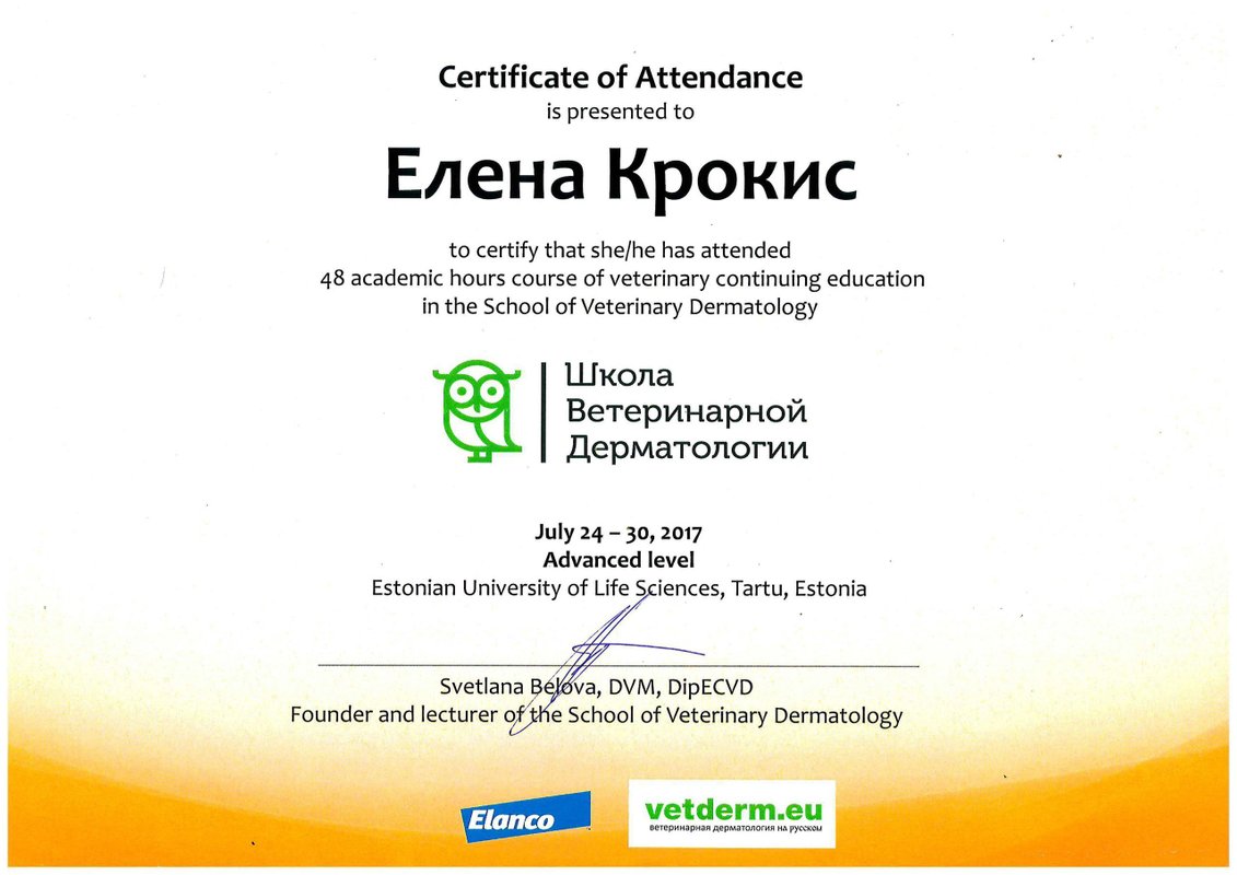 Документ или сертификат