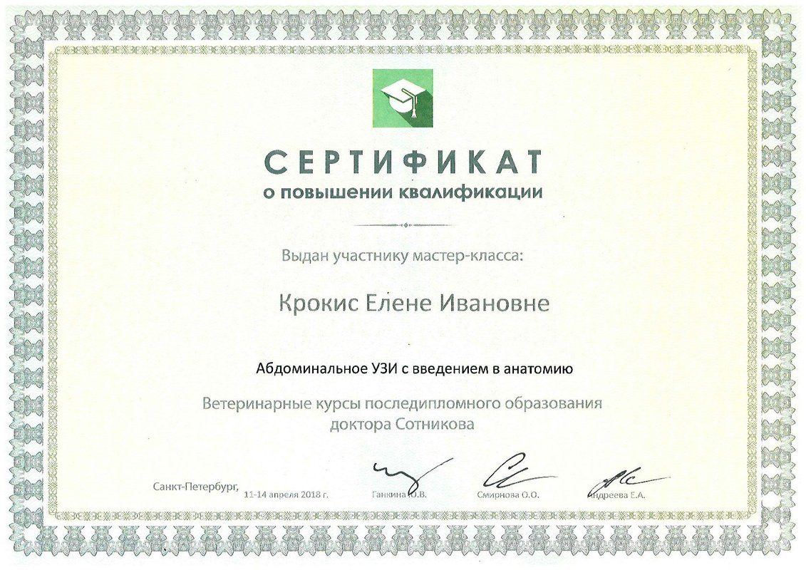 Документ или сертификат