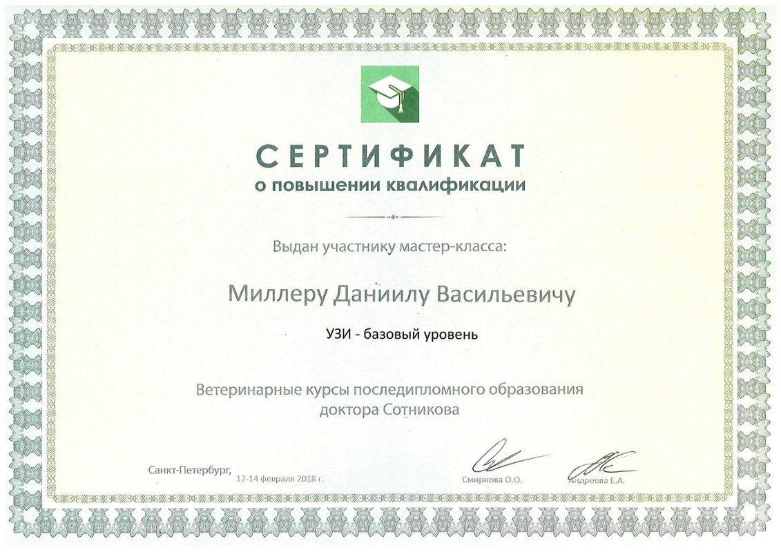 Документ или сертификат