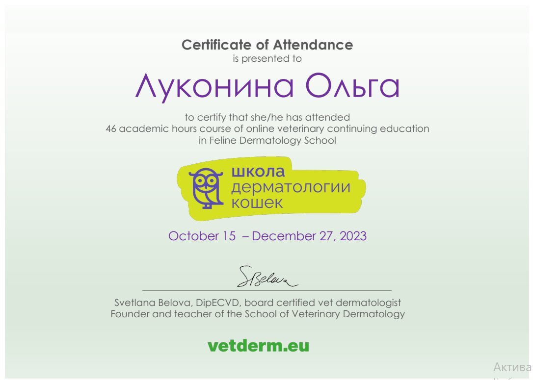 Документ или сертификат