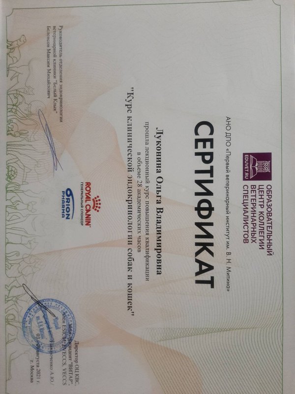 Документ или сертификат