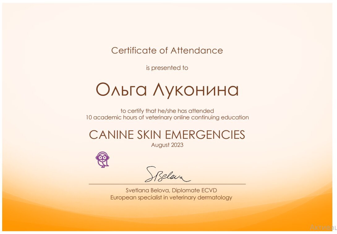 Документ или сертификат