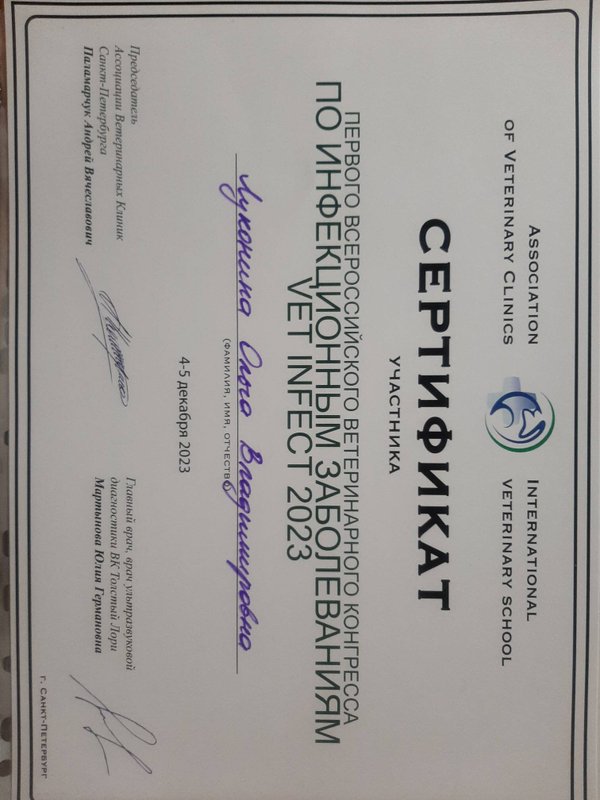 Документ или сертификат