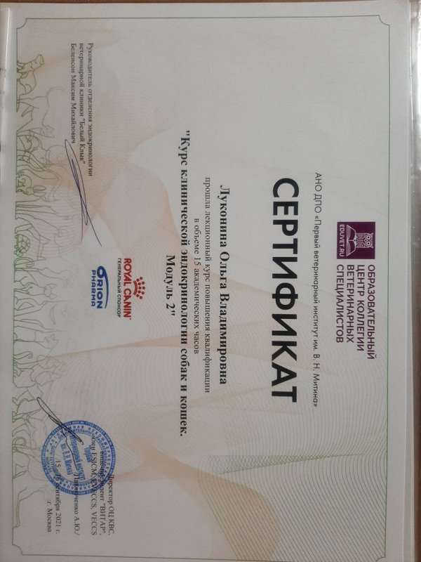 Документ или сертификат