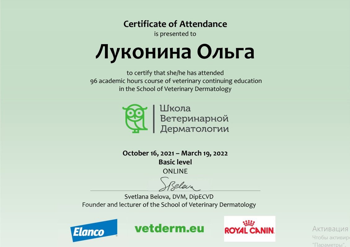 Документ или сертификат