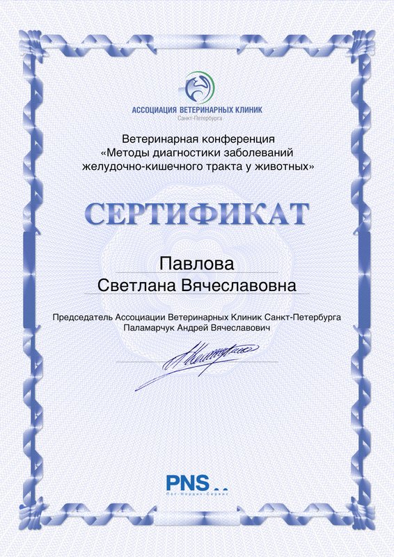Документ или сертификат