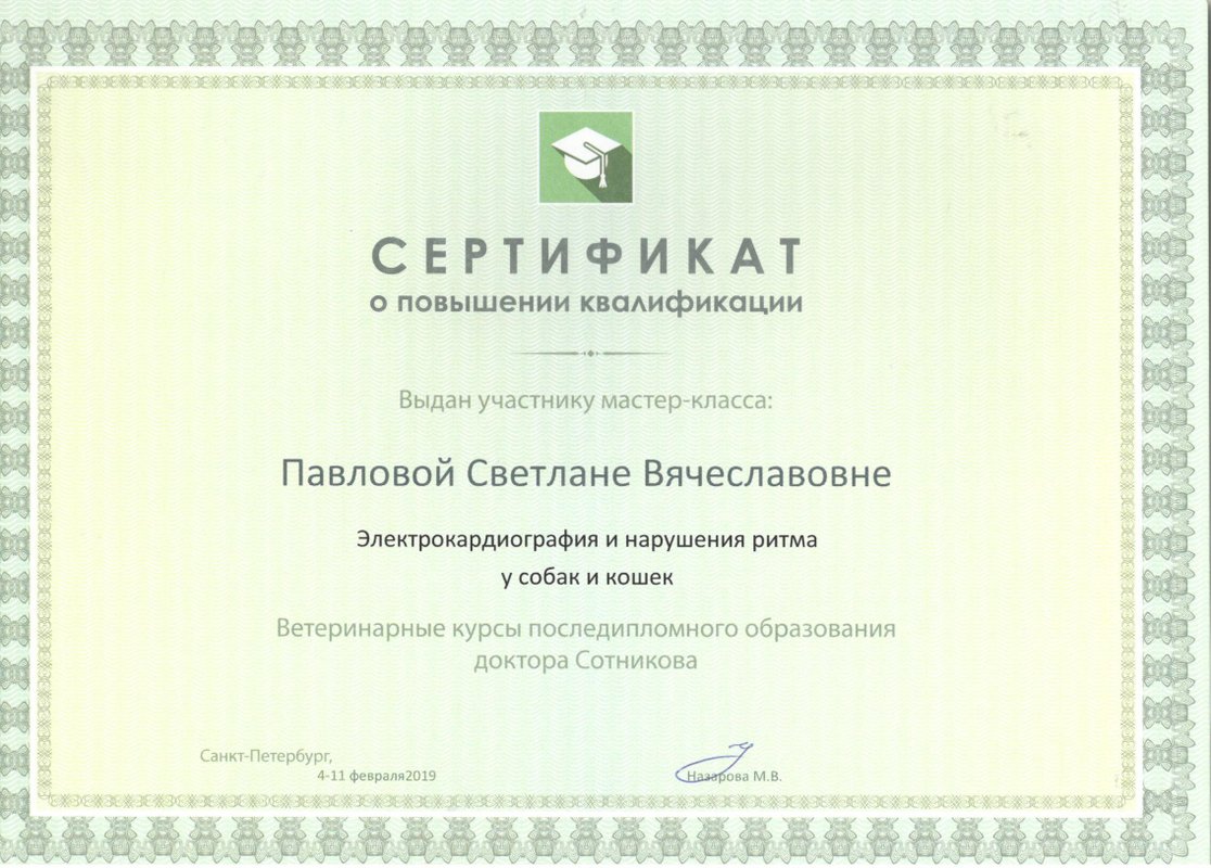 Документ или сертификат