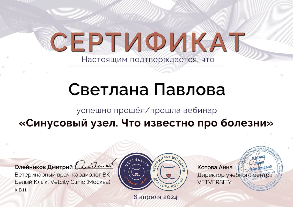 Документ или сертификат