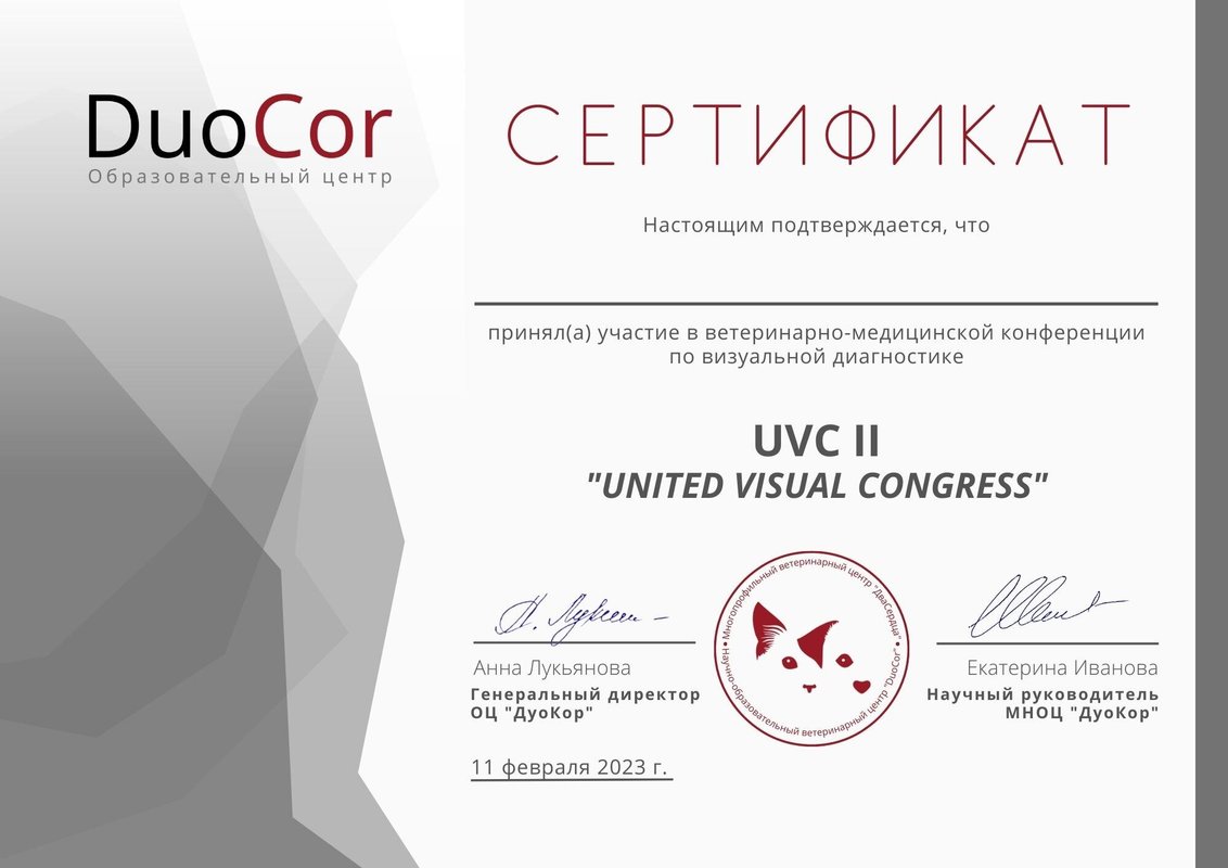 Документ или сертификат