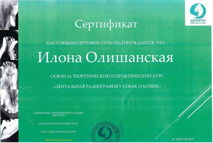 Документ или сертификат