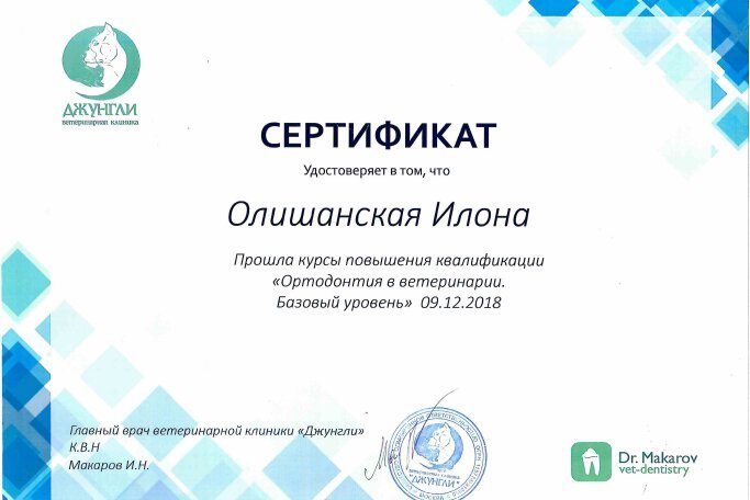 Документ или сертификат