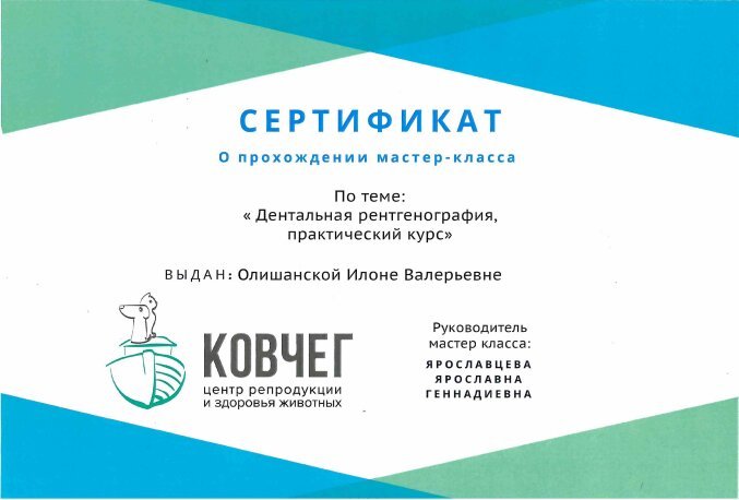 Документ или сертификат
