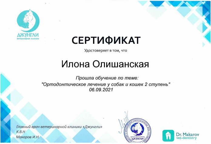 Документ или сертификат