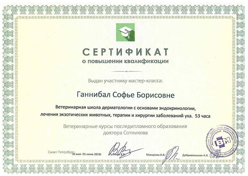 Документ или сертификат