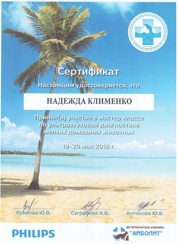Документ или сертификат