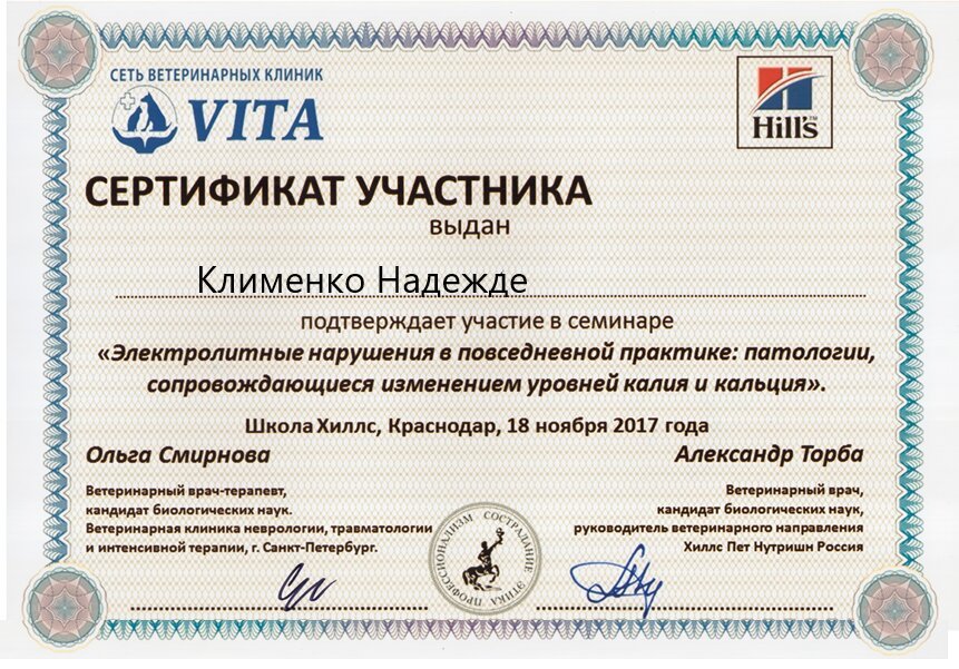 Документ или сертификат