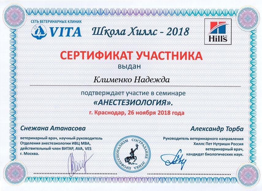 Документ или сертификат