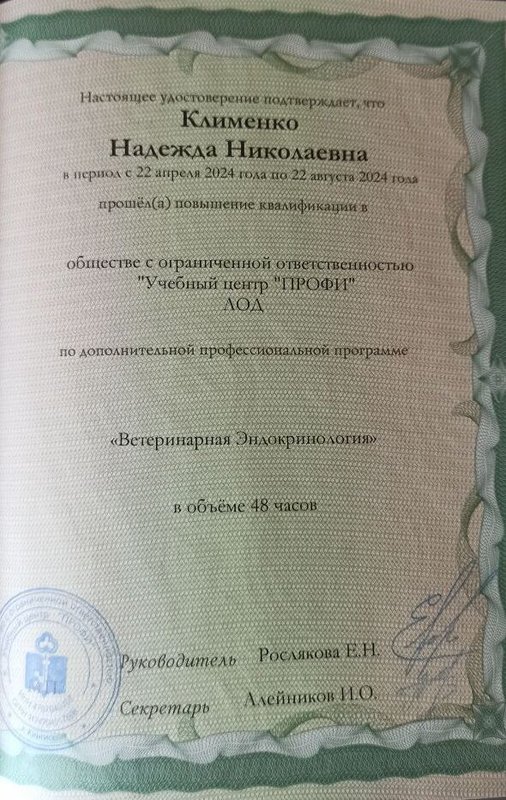 Документ или сертификат